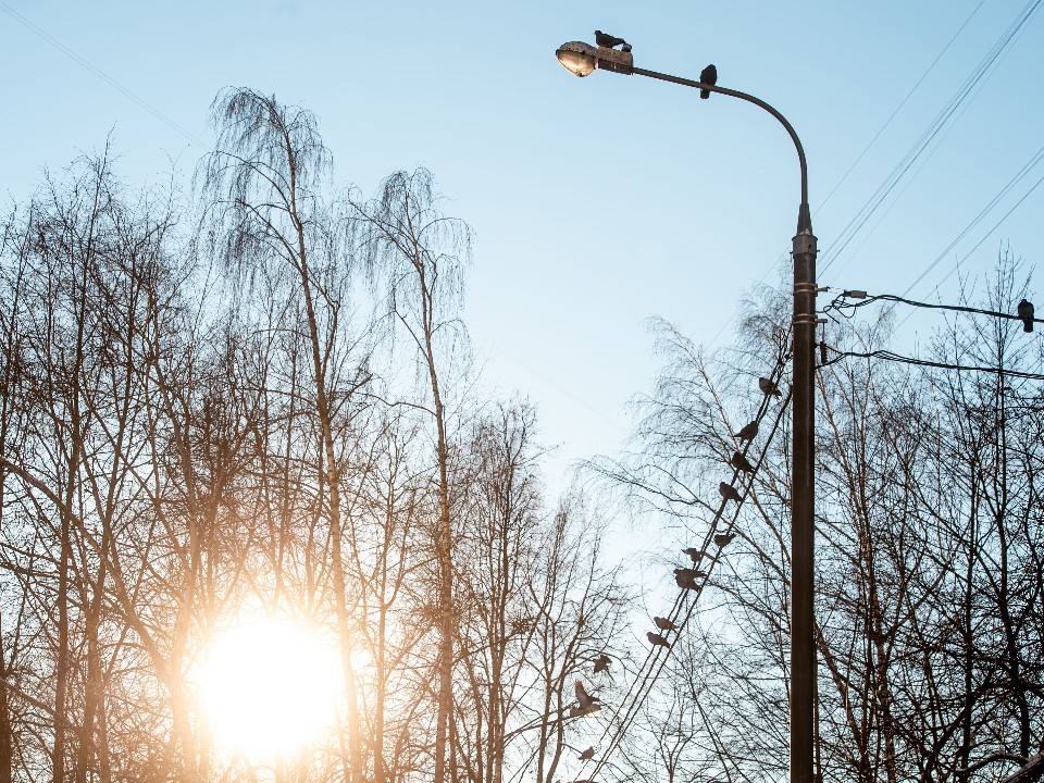 От морозов к плюсовой температуре: когда в Подмосковье вернется оттепель