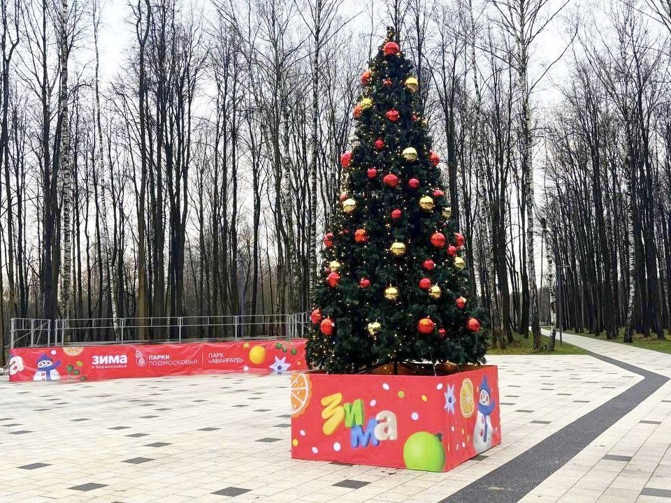 Забудь про диван: «Авангард» открывает зимний сезон в Электростали