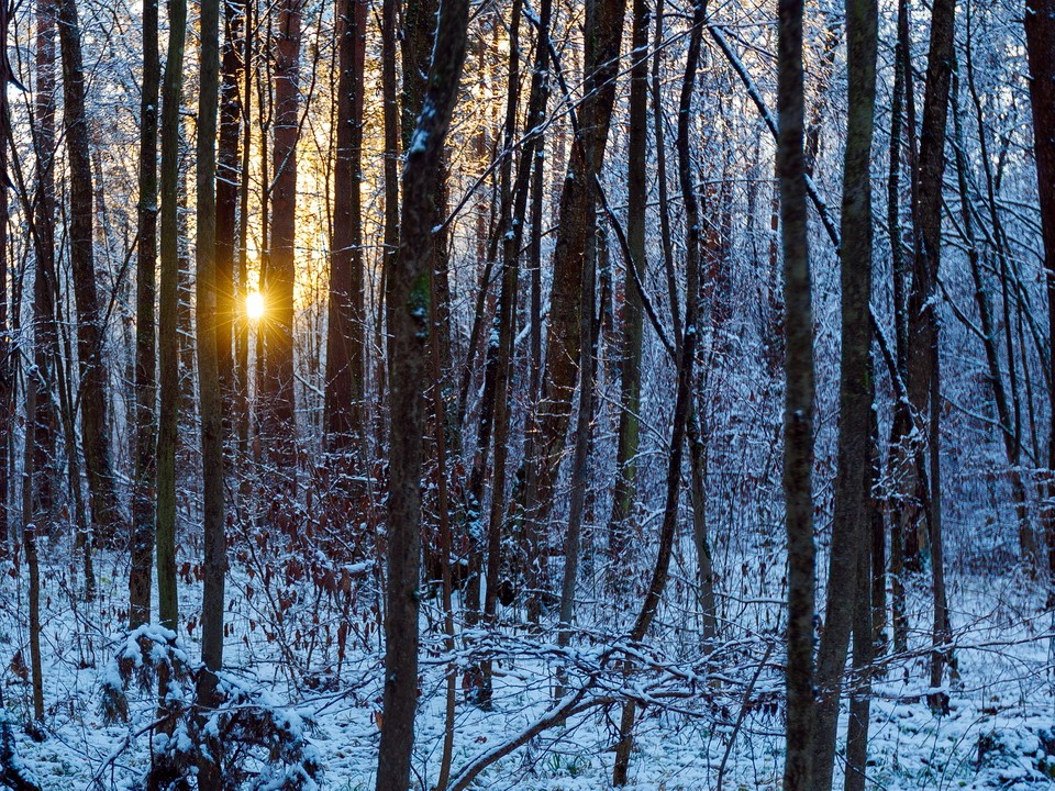 Сроки резкого похолодания и морозов до минус 10 назвала синоптик Позднякова