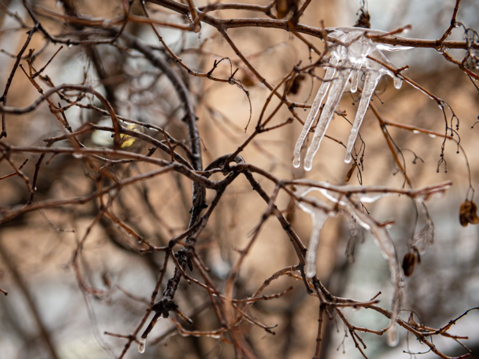 Солнечногорск накроет ледяной дождь: что говорят синоптики
