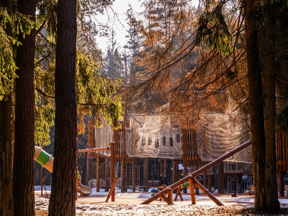 Парящая трасса над лесом: в «Шишкином лесу» запустили уникальный «Роллер.бан»