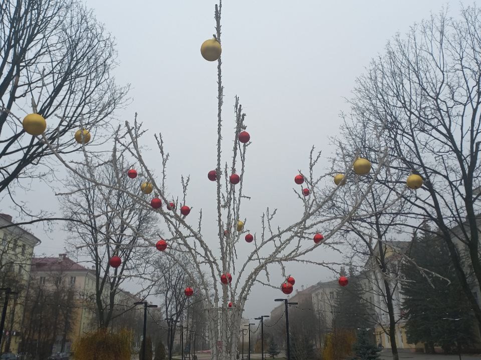 В Электростали на деревьях начали расти новогодние елочные шары