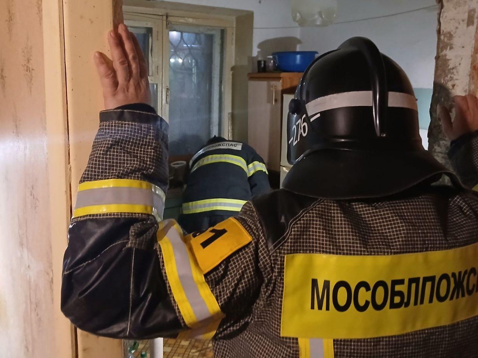 Воробей как повод для вызова: нестандартная работа пожарных в Шатурском округе