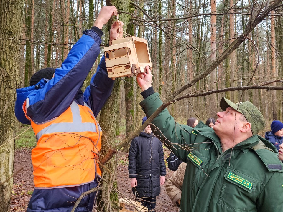 «Везем для важных птиц»: в подольском лесу развесили кормушки в виде грузовиков