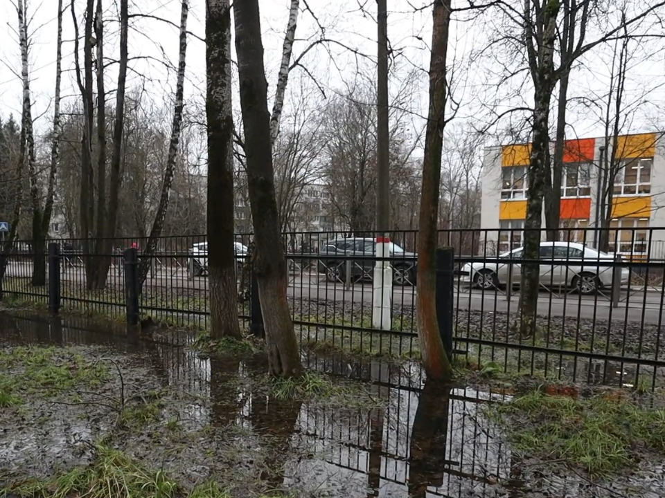 Власти Химок ищут решение проблемы подтоплений у гимназии №23 в Сходне