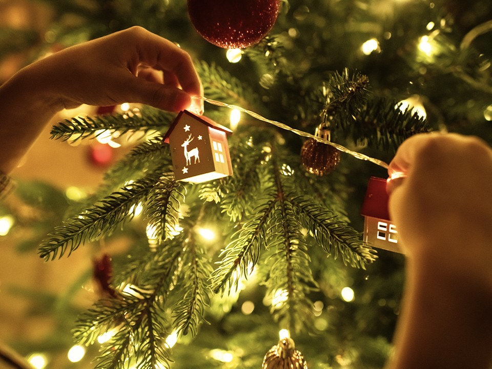 Как различить на глаз гирлянды для дома и улицы: три правила от Роспотребнадзора