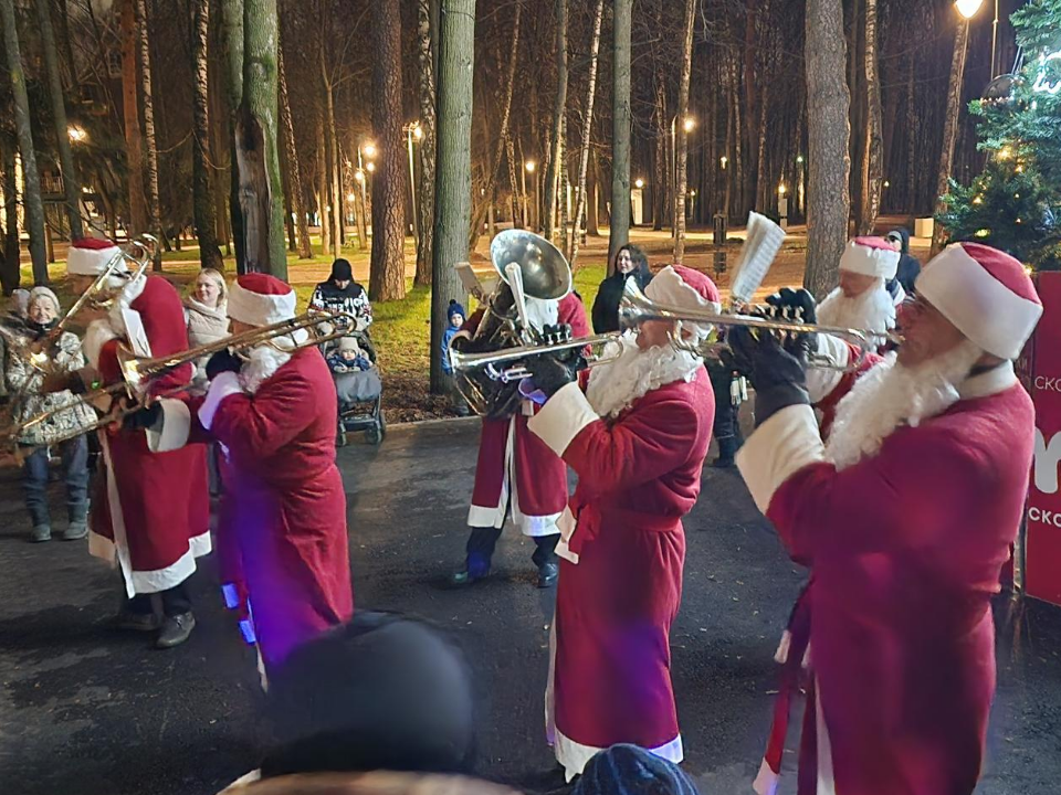 Самую большую елку в Городском парке зажгли девять зимних волшебников
