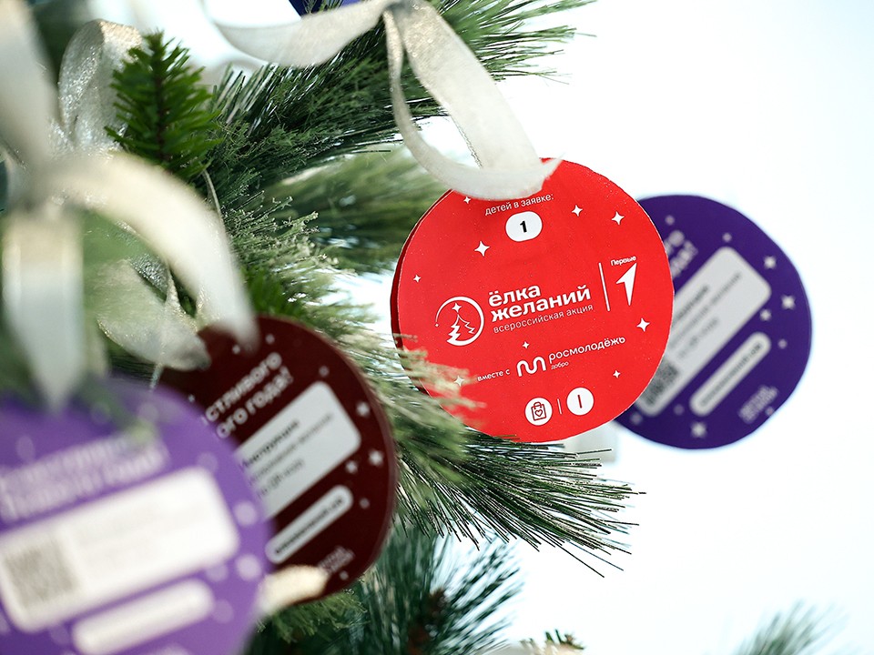 Увидеть закулисье цирка и получить робота: «Елка желаний» радует детей в Подмосковье