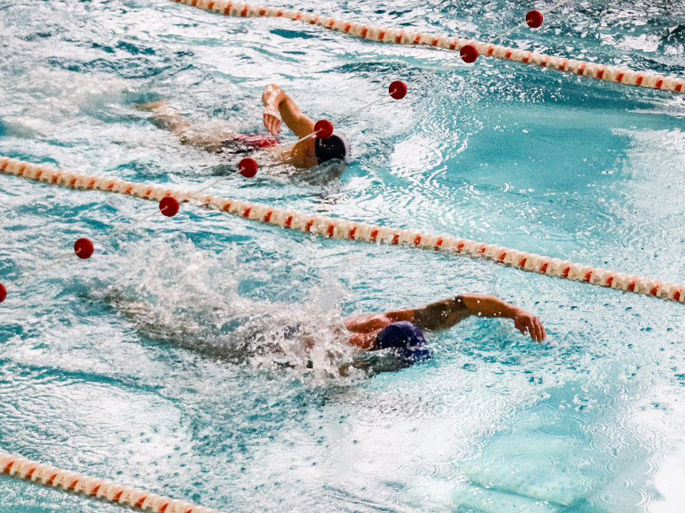 «Моржи» посоревнуются в скорости в усадьбе Гребнево