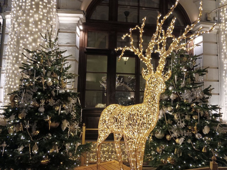 Видновчанам рассказали как выбрать безопасную гирлянду для украшения дома и улицы