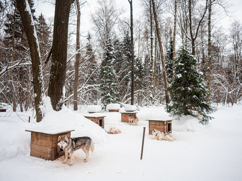 Подмосковье все еще ждет зиму: потепление продлится, но морозы уже на подходе