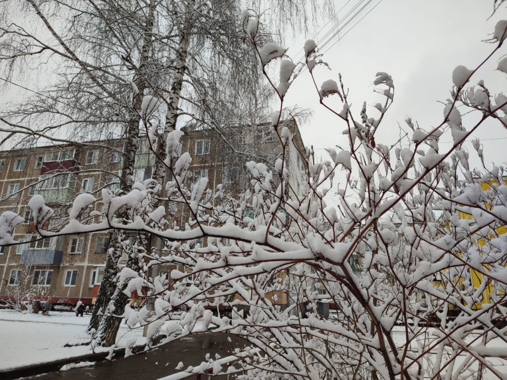 Когда Подмосковье накроет снегом: точный прогноз предновогодней погоды