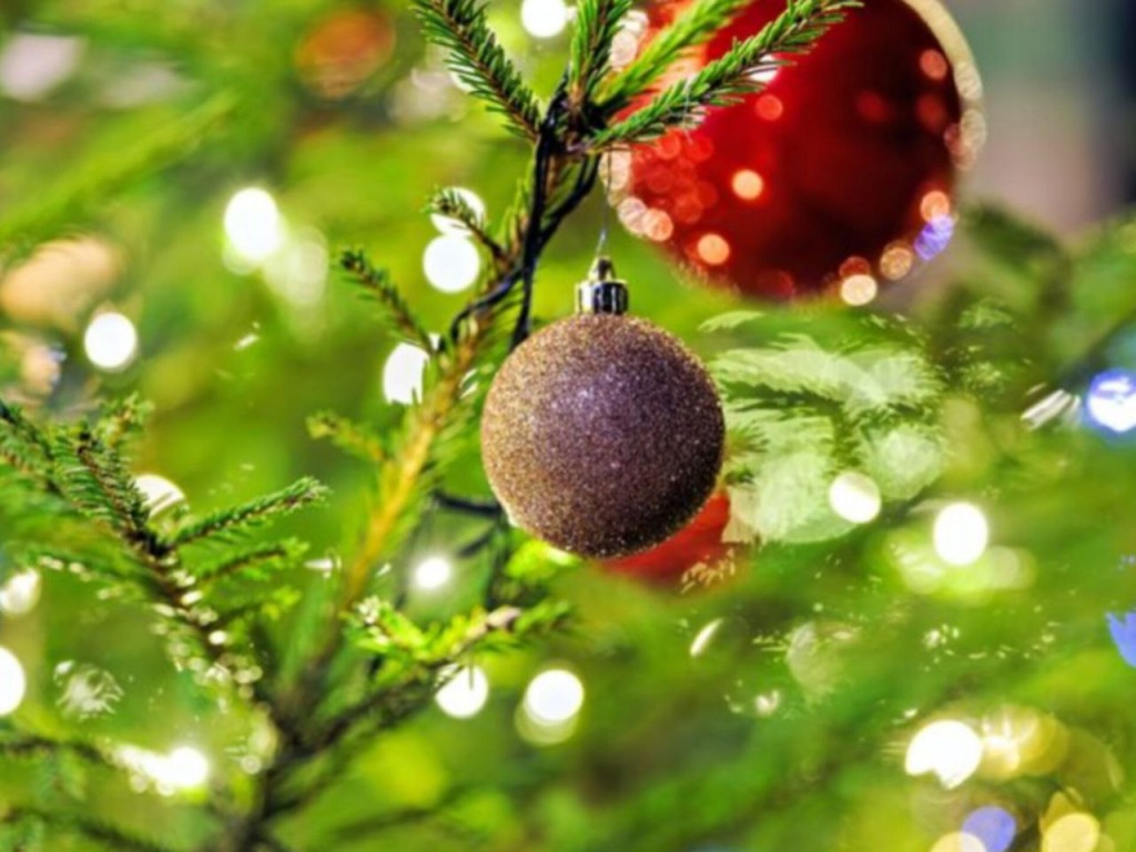 Волшебство в кадре: где можно сделать атмосферные новогодние фото в Талдомском округе