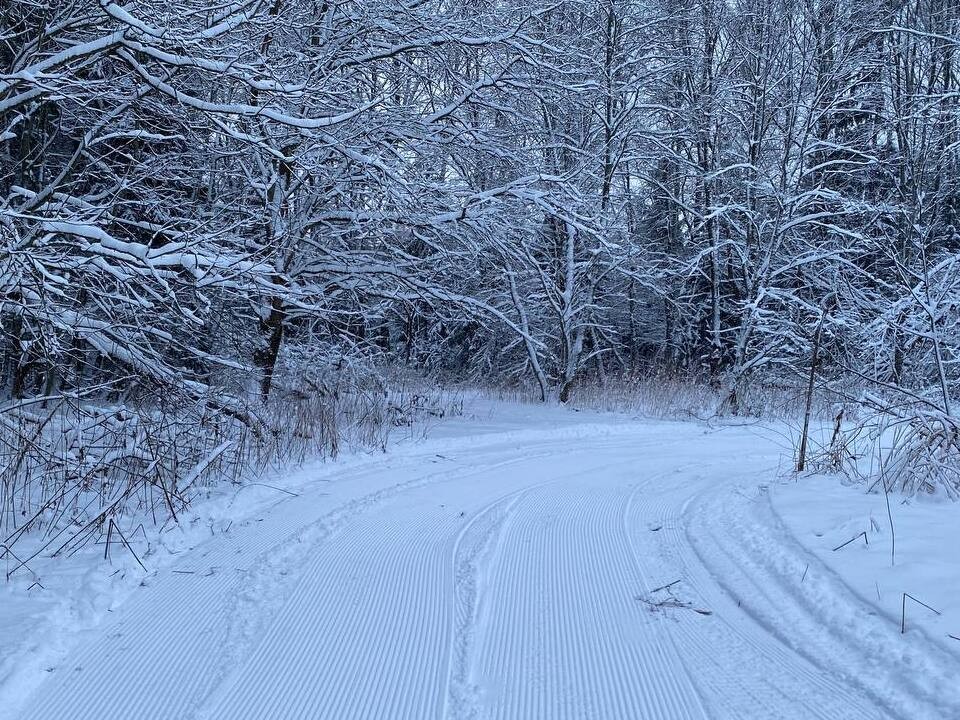 Снежные трассы Шаховской начали принимать первых лыжников