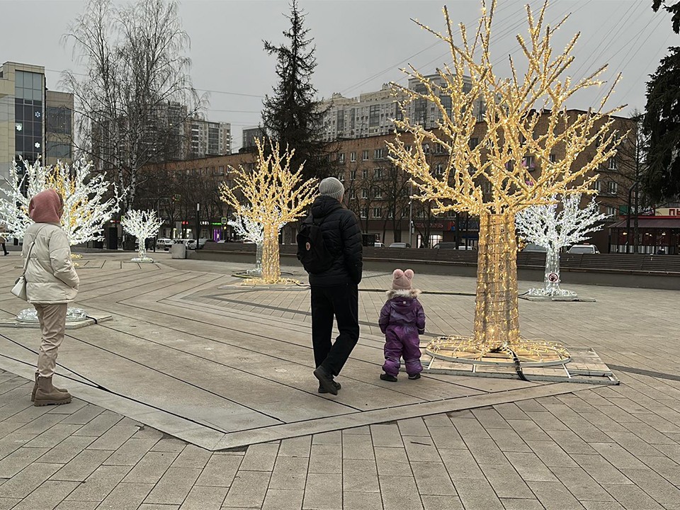 Пушкино в ярких красках и огнях готовится к встрече Нового года