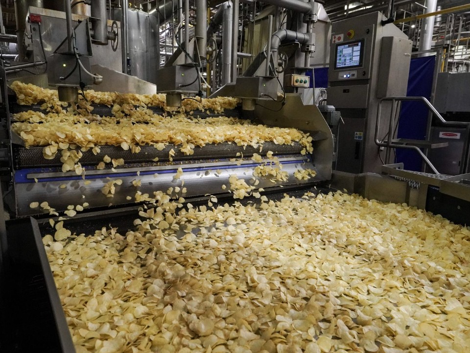 Из аудитории — в центр событий: как стажировки на предприятиях АПК открывают путь в профессию и развивают отрасль