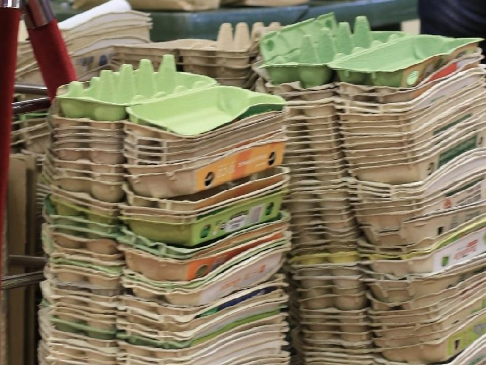 В Чехове устраивают праздничный экомарафон: что жители смогут сдать дополнительно и какие условия нужны для участия