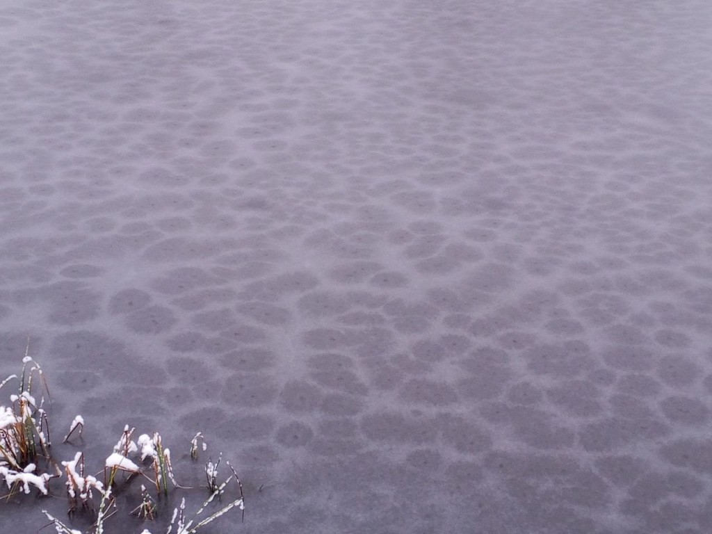 Снег с дождем ружанам пообещали уже в ближайший вторник