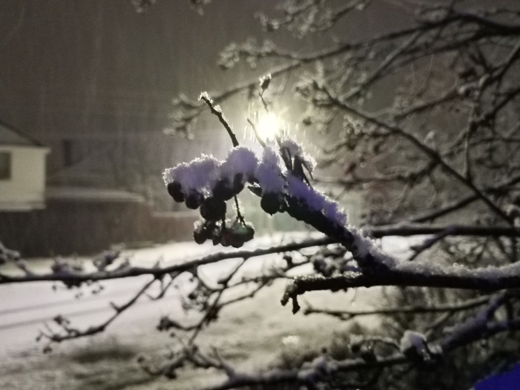 Подморозит и засыплет: приход зимы ружанам пообещали на 24 декабря