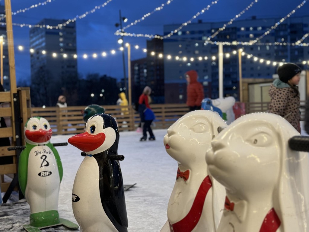 Каток с сюрпризом: что ждет гостей в Видном этой зимой