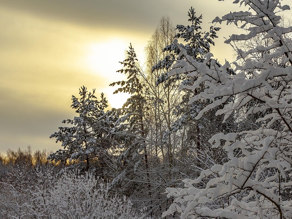 Какой народный праздник отмечают 22 декабря 2025: что можно и нельзя делать на Анну Темную