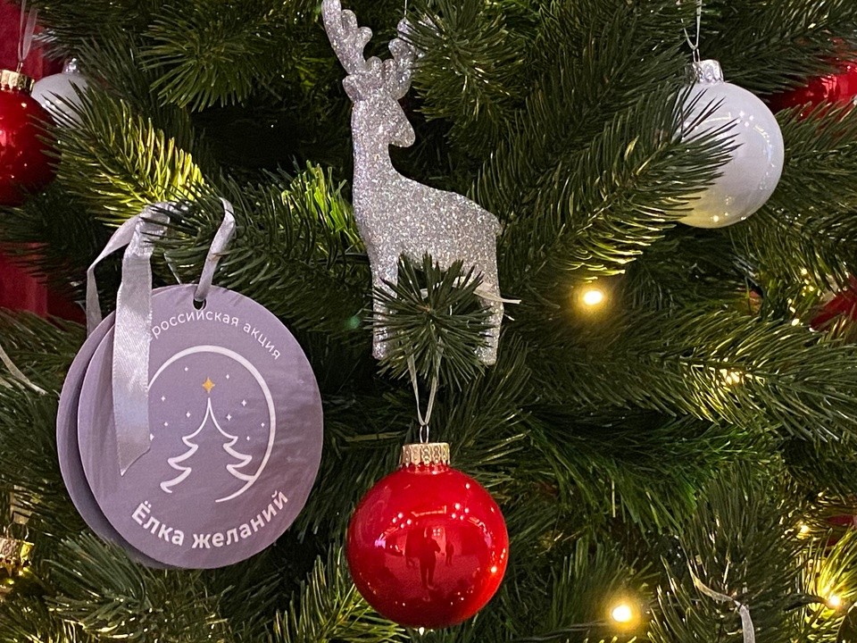 Елка желаний: мечта семилетнего мальчика исполнится под Новый год