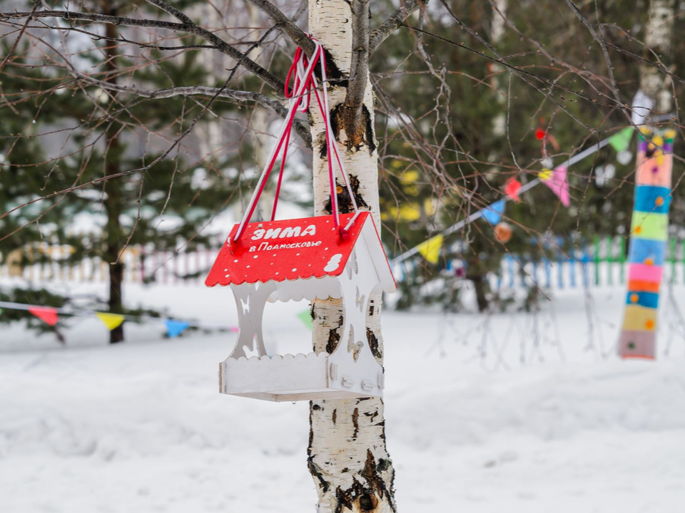 К большой беде: что категорически нельзя делать в Сойкин день 11 декабря