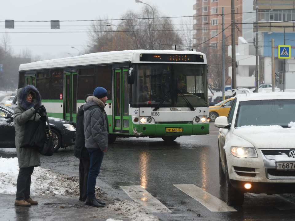 Раскрыли, какая «зебра» в Сергиевом Посаде самая опасная, и что грозит пешеходу-нарушителю