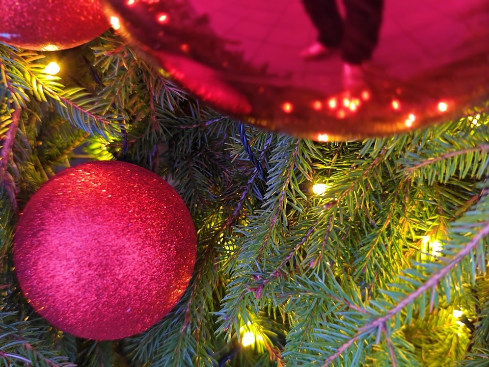 Серпухов открывает зимний сезон ярким зажжением новогодних елок