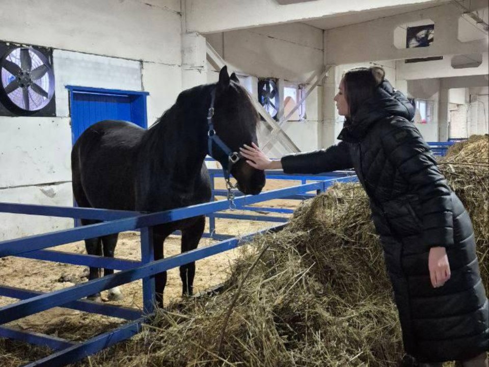 Ферма у деревни: в Орехово-Зуево появилось новое хозяйство с молочным скотом и овцами