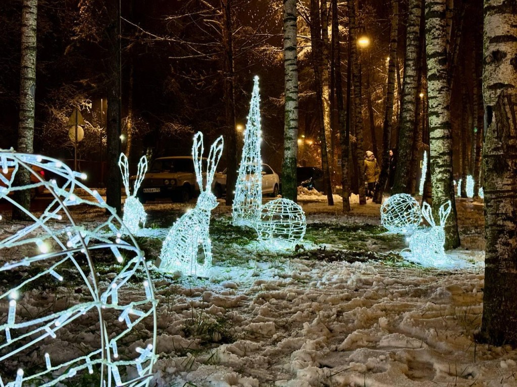 Где в Дубне сделать волшебные зимние фото: 10 локаций для идеального кадра