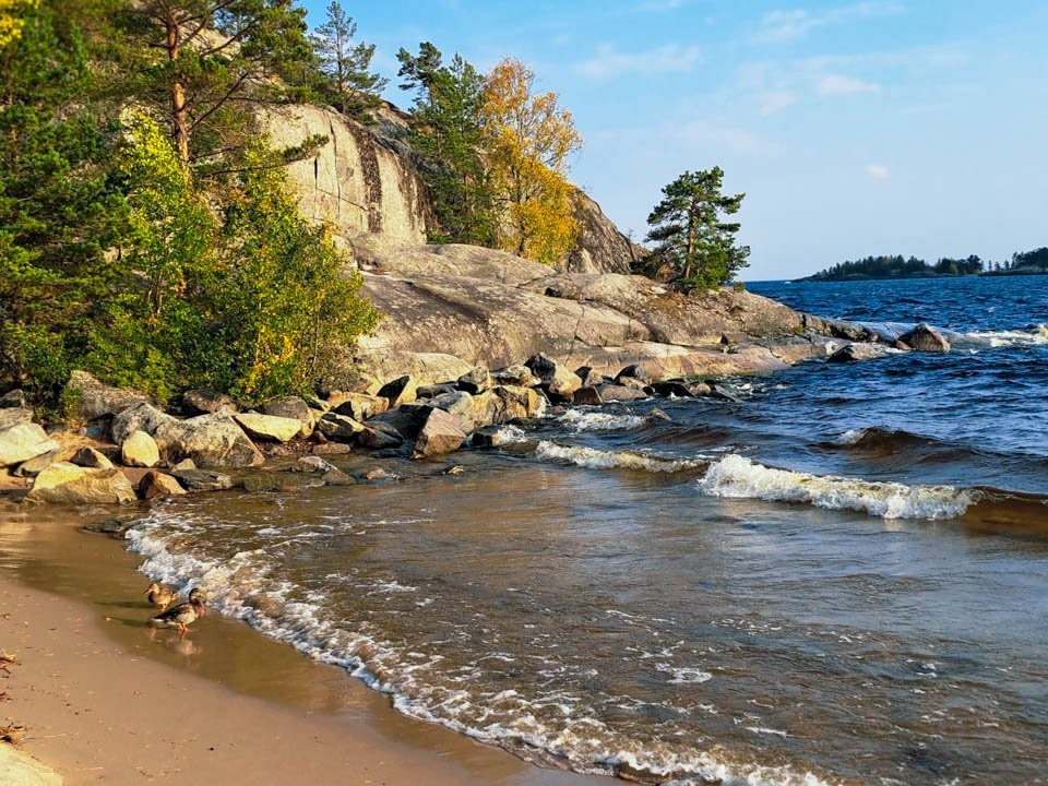 Подмосковный люкс или вьетнамский пляж: почему Новый год за границей стал выгоднее