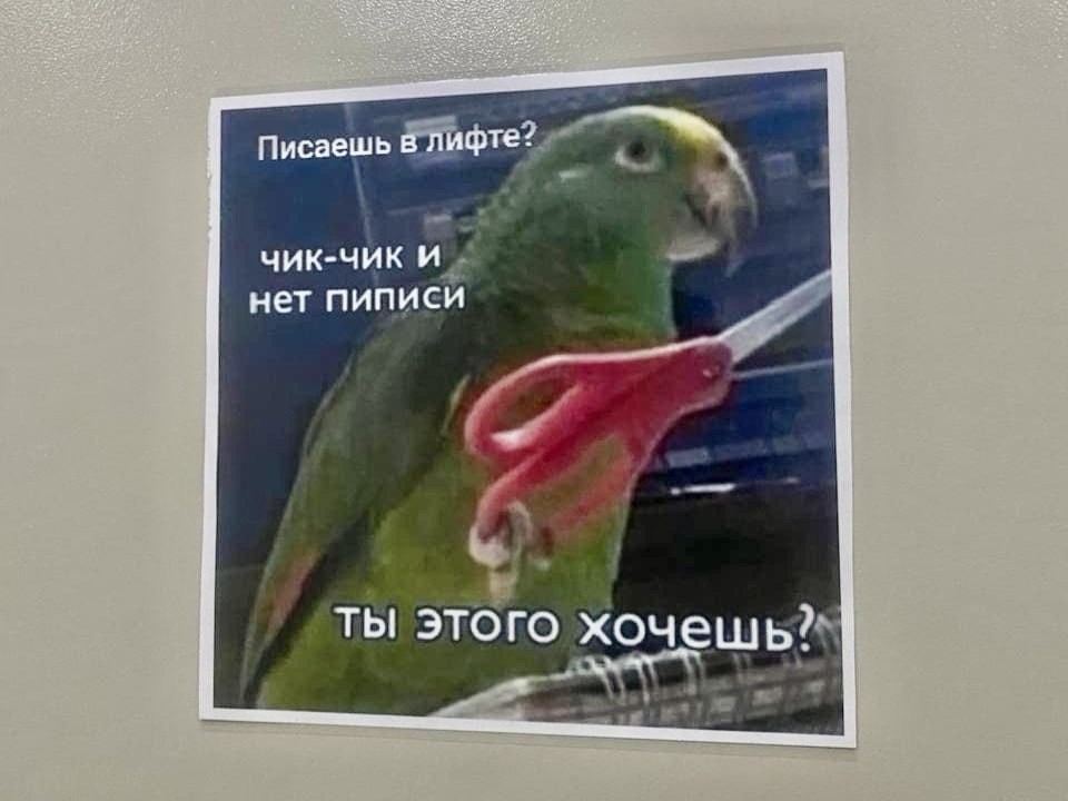 Справляющим нужду в лифте пригрозили серьезной расправой в Звенигороде