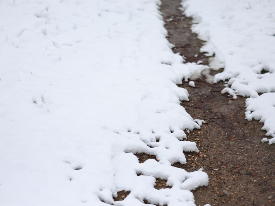 Снежная метель и оттепель до+7! Синоптик спрогнозировал удивительную декабрьскую погоду в Подмосковье