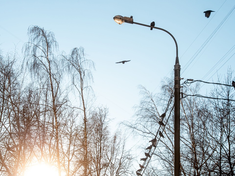 Зима идет: когда в Подмосковье похолодает до -13°C