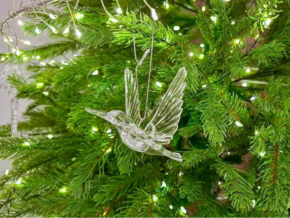 Вместо срубленной ели: какие хвойные деревья можно выращивать дома круглый год