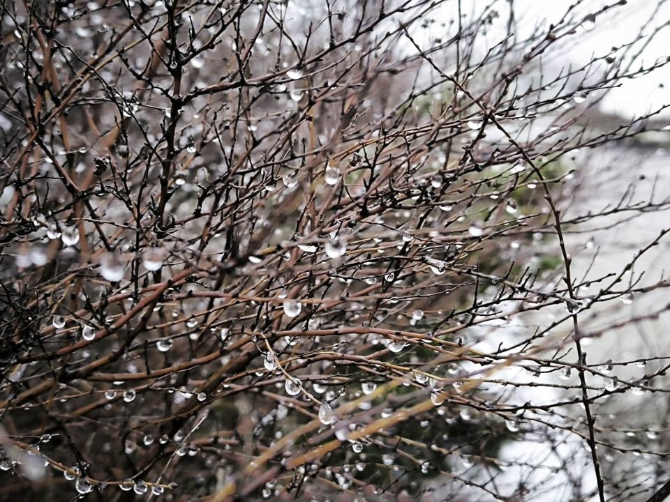 Придут ли с потеплением ледяные дожди в столичный регион: ответ синоптика