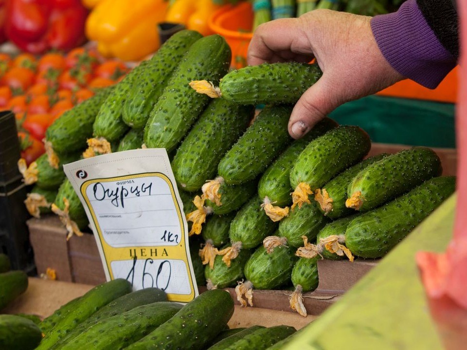 Продавать урожай легально: в Яхроме предложили альтернативу уличной торговле