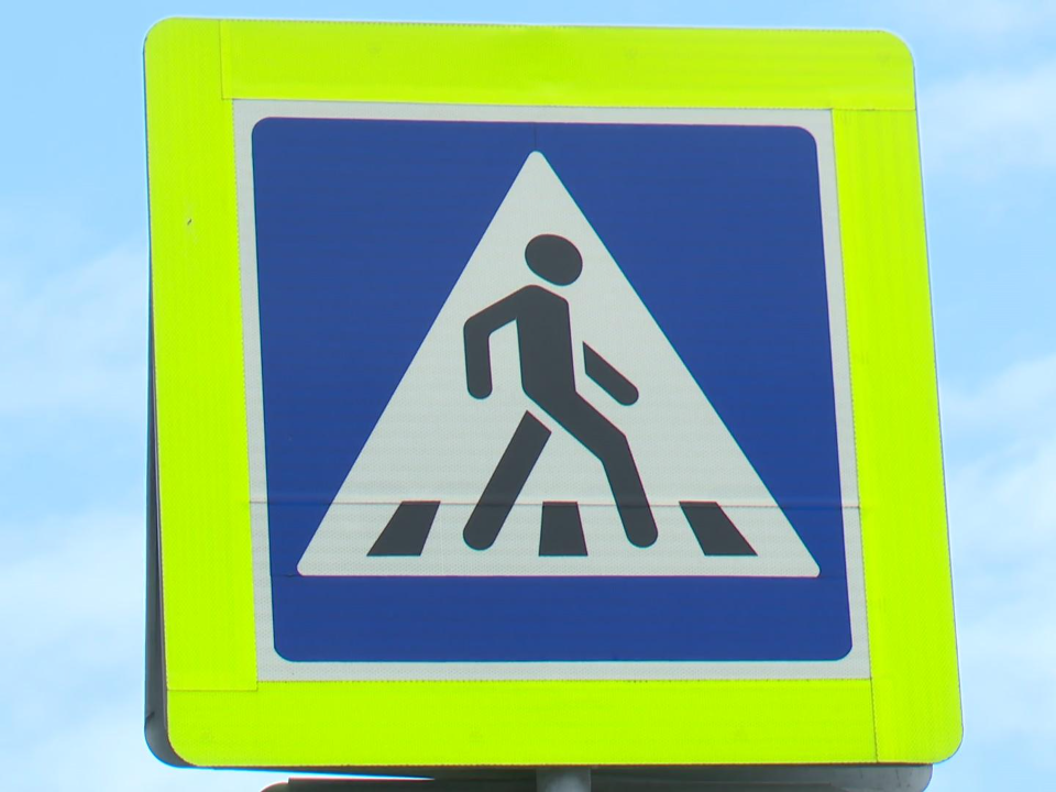 «Зебры» опустели: таинственное исчезновение искусственных детей с дорог раскрыто