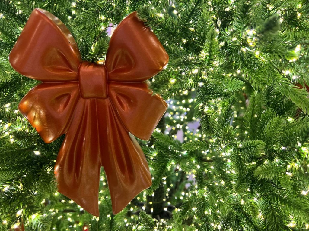 Новогоднюю елку установили для рыб под водой в Москве