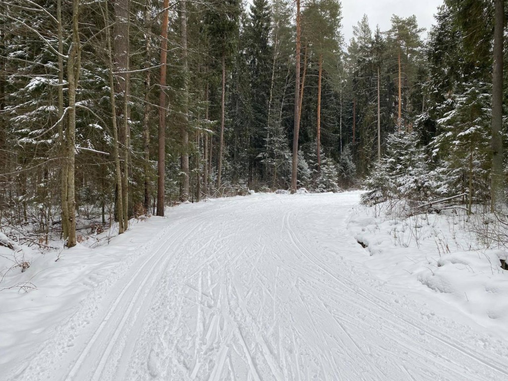 В зоне отдыха «Любляна» работает лыжная трасса