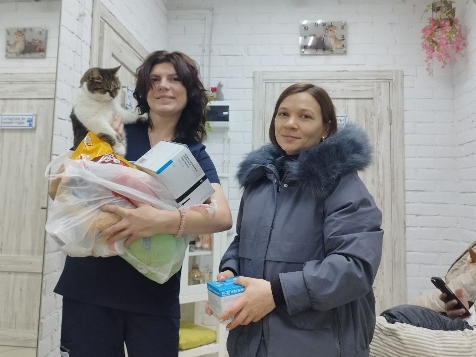 Луховицкие медики собрали помощь для местного приюта для животных