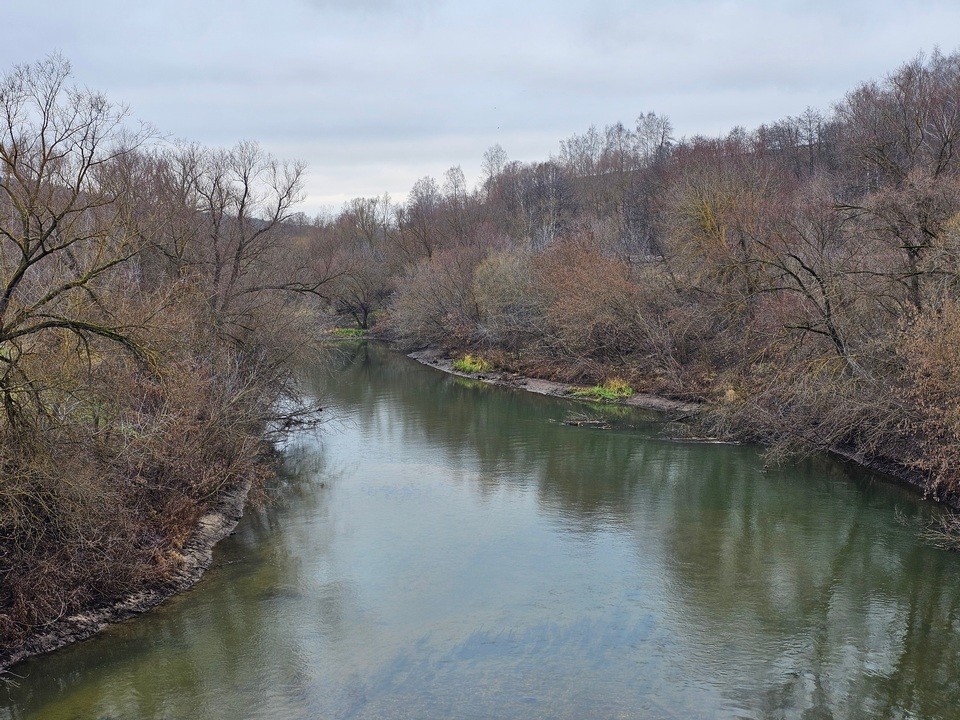 Какая погода будет в Подмосковье с 8 по 14 декабря