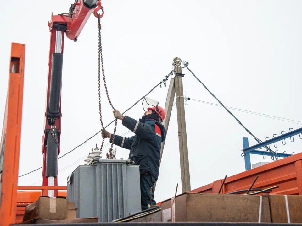 «Это не только ценный мех»: как в Шатуре дополнительная энергия помогла ферме вырасти, а Россети помогли кроликам стать деликатесом