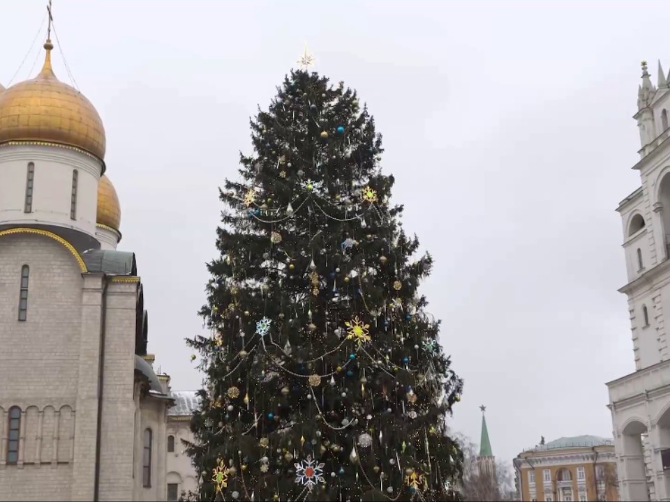 «Кремлевская» елка из Рузы попала в топ-10 самых высоких в мире