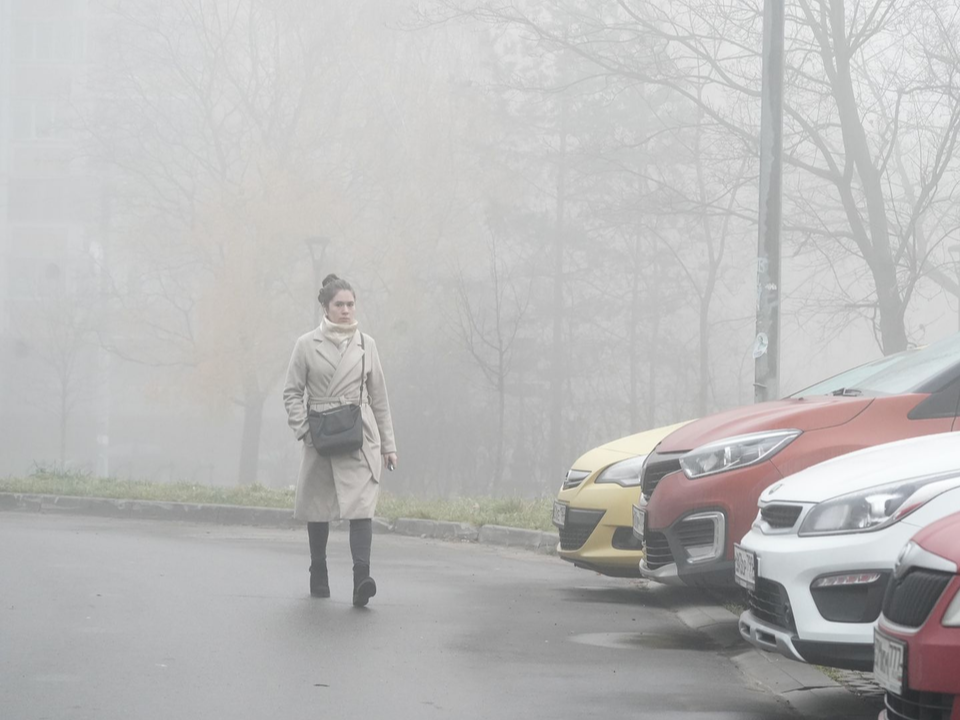 Туманная и пасмурная погода ожидается в Подмосковье 2 декабря