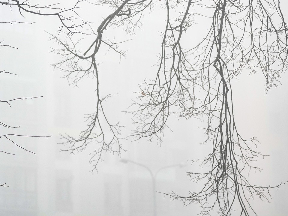 Туман и гололед: МЧС предупредило жителей московского региона о непогоде