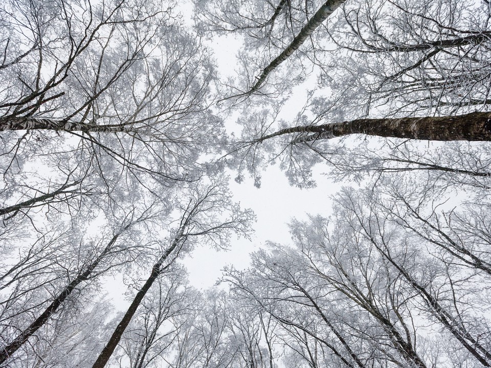 День длиной меньше семи часов: каких традиций принято придерживаться в период зимнего солнцестояния