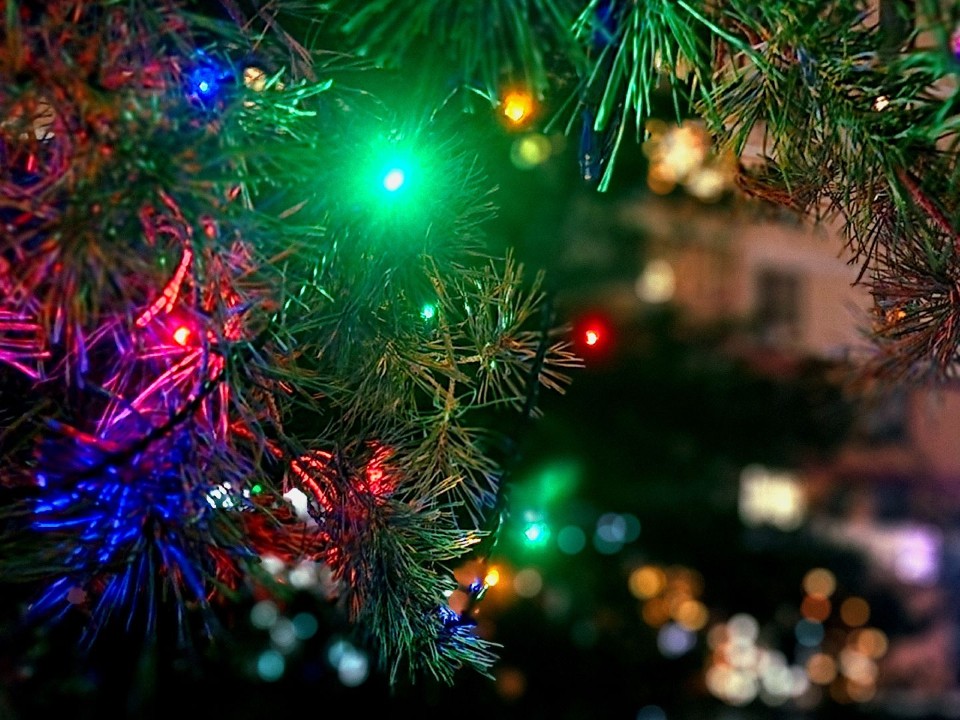 Реутов готовится к праздникам: огни, ёлки и резиденция Деда Мороза ждут жителей