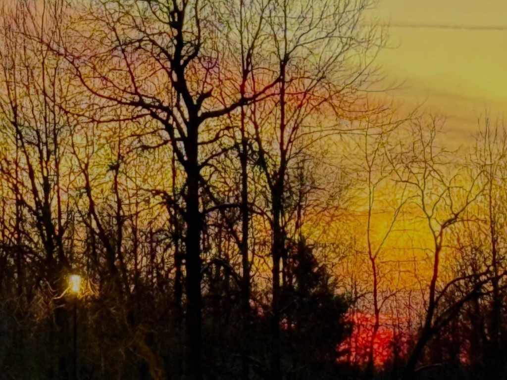 Гороскоп на 25 декабря 2025 для всех знаков Зодиака: Овнам, Львам и Стрельцам стоит проявить мудрость, а Тельцам и Ракам Вселенная готовит подарок